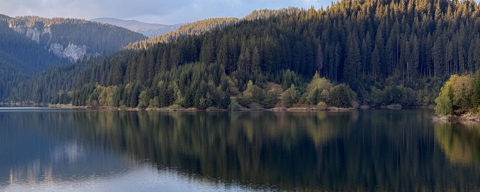 Un lac liniștit, cu pădurea reflectată în apă, la sfârșit de zi