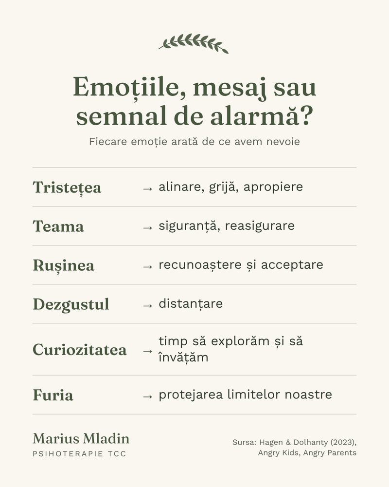 Fiecare emoție arată de ce avem nevoie. Tristețea: alinare, grijă, apropiere. Teama: siguranță, reasigurare. Rușinea: recunoaștere și acceptare. Dezgustul: distanțare. Curiozitatea: timp să explorăm și să învățăm. Furia: protejarea limitelor noastre.